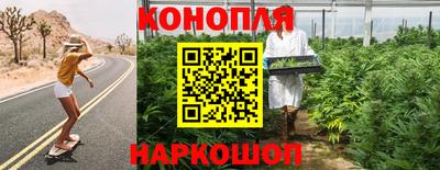 прущие крисы Беслан
