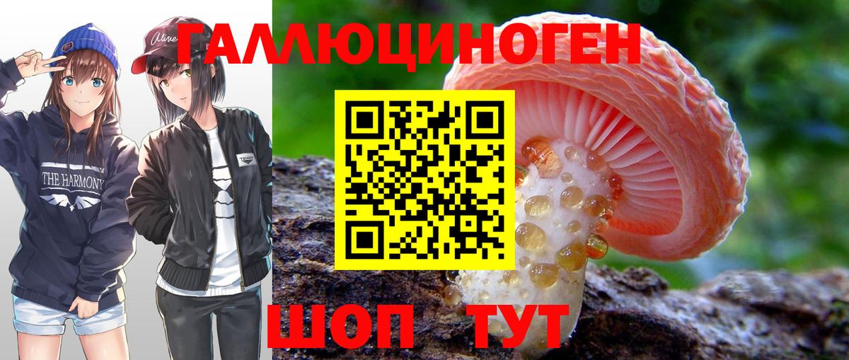 Псилоцибиновые грибы Cubensis  Вход с VPN  как найти   Вольск 